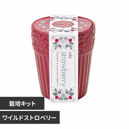 OCX K[f GD-103101 ChXgx[yvUZNgz_0
