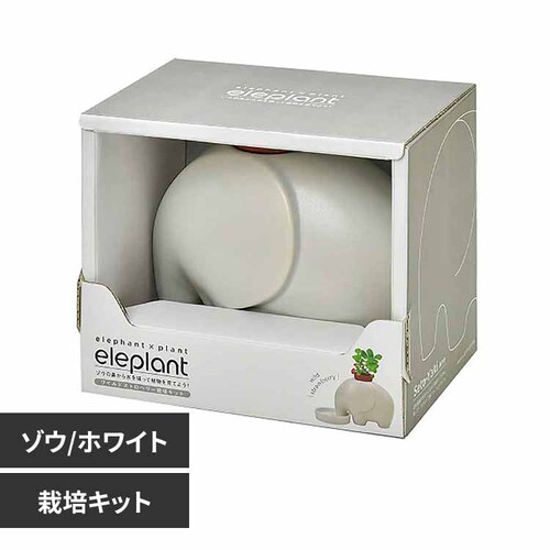 エレプラント GD-95502 ホワイト/ワイルドストロベリー【プラザセレクト】_0
