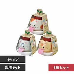 �y3��Z�b�g�z�y���|���L���b�c �y���|���L���b�c