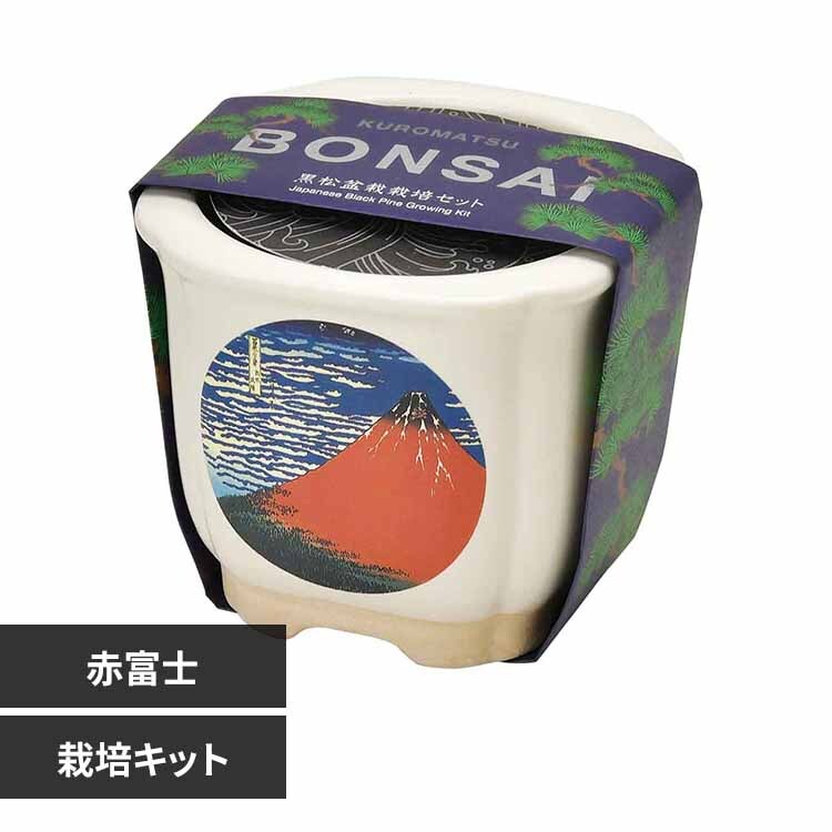 JAPANESE BONSAI 松 GD-64003 波富士 7290121 │アイリスオーヤマ公式