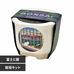 JAPANESE BONSAI  GD-64006 xmƔLyvUZNgz