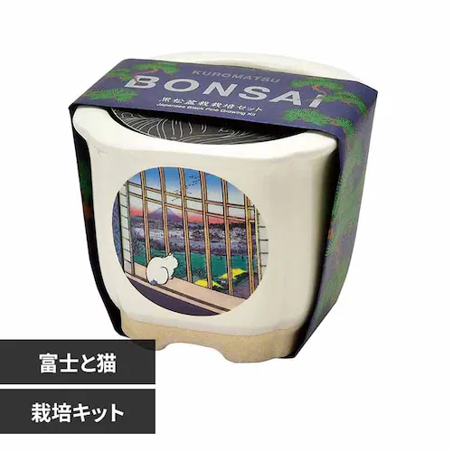 JAPANESE BONSAI 松 GD-64006 富士と猫【プラザセレクト】_0