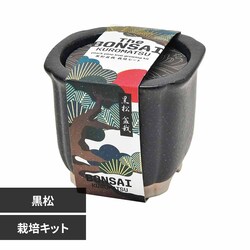 The BONSAI ͔|Zbg GD-99201 yvUZNgz