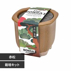 The BONSAI ͔|Zbg GD-99202 ԏyvUZNgz