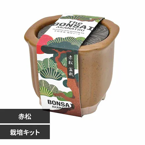 The BONSAI 栽培セット GD-99202 赤松【プラザセレクト】_0
