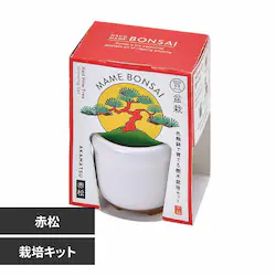 HACO MAME �~�͍͔|�Z�b�g GD-96502 �ԏ�