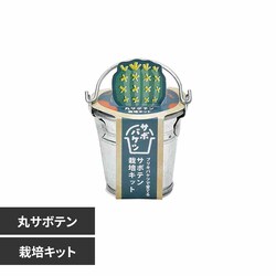 T{oPc͔|Lbg GD-103401 ۃT{eyvUZNgz