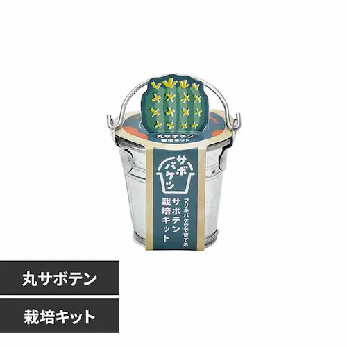 サボバケツ栽培キット GD-103401 丸サボテン【プラザセレクト】_0