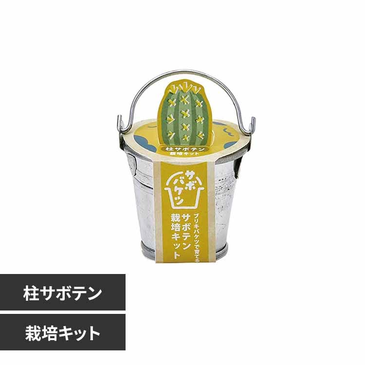 サボバケツ栽培キット GD-103402 柱サボテン【プラザセレクト