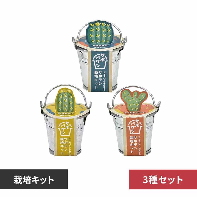 【3種セット】サボバケツ栽培キット(丸サボテン・柱サボテン・ウチワサボテン) 【プラザセレクト】