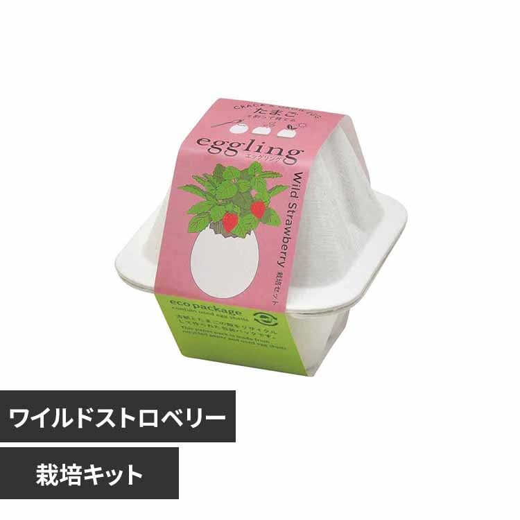 eggさま専用 LATEX ZIGZAG EGG TOY ラテックスジグザグエッグトイ | MANDARINE