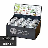 ĂJvZ ܂ߖ~ GD-954 yvUZNgz