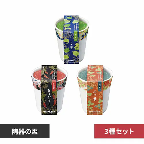 �y3��Z�b�g�z�a�S�� �y�v���U�Z���N�g�z_0