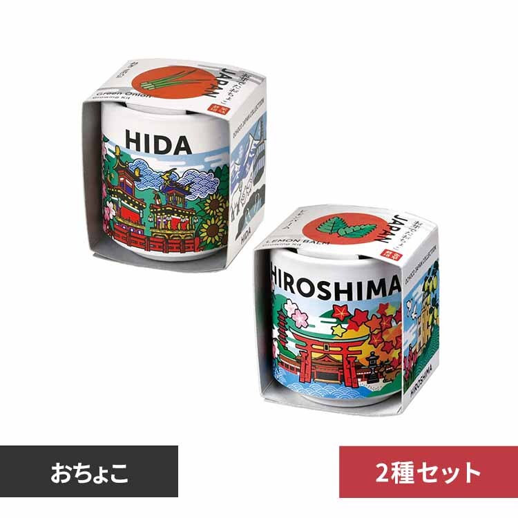 �y2��Z�b�g�z����ł������傱JAPAN �y�v���U�Z���N�g�z