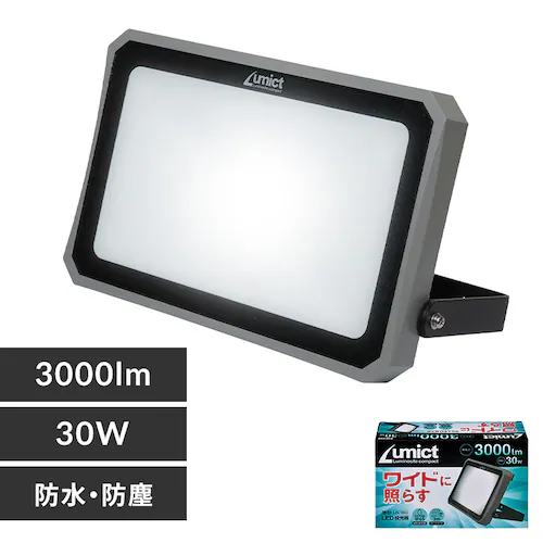 ELPA AC��������3000LM LFL-1003 �y�v���U�Z���N�g�z_0