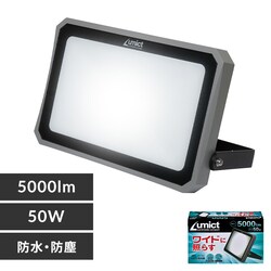 ELPA AC��������5000LM LFL-1005 �y�v���U�Z���N�g�z