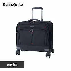 �T���\�i�C�g �r�W�l�X�g���[���[ �u���b�N