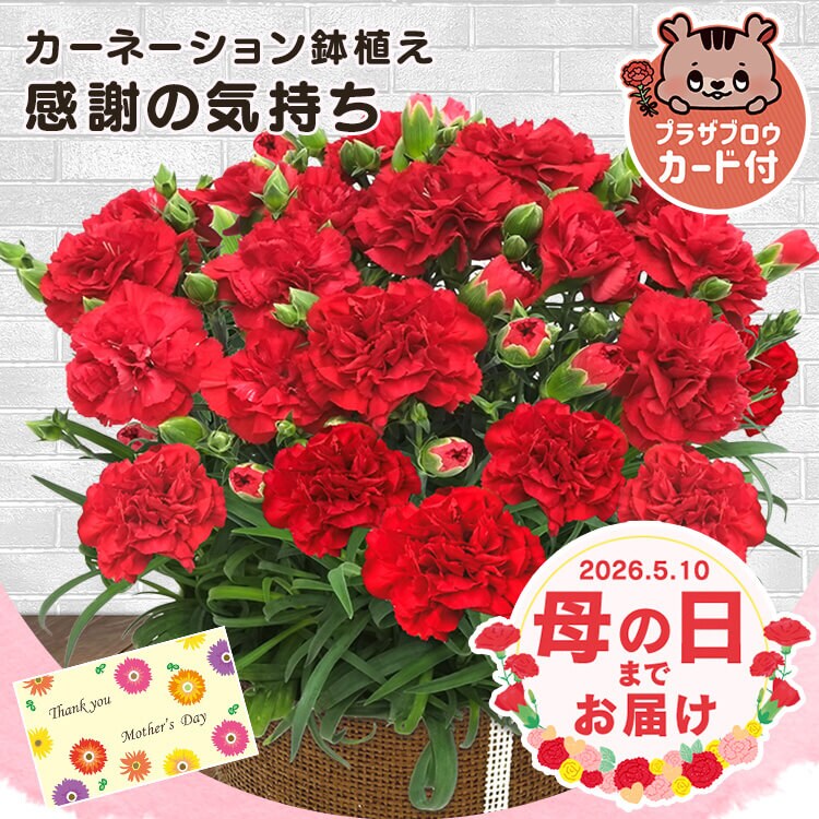 �ǉ����i�T���l�C��