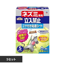 �A�[�X�K�[�f�� �l�Y�~��p�����֎~ �G�T�t���S���V�[�g 5�Z�b�g