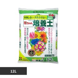 �Ԃ����� �t���{�_�z���Ԃ����|�{�yAB 12L