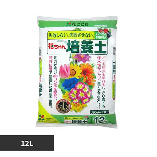 �Ԃ����� �t���{�_�z���Ԃ����|�{�yAB 12L_0