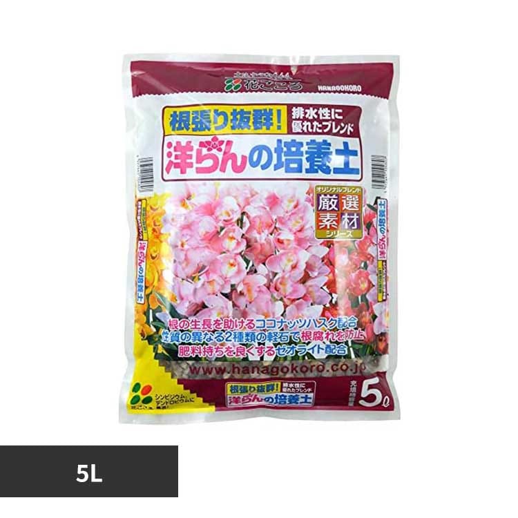 �Ԃ����� �m���̔|�{�y 5L