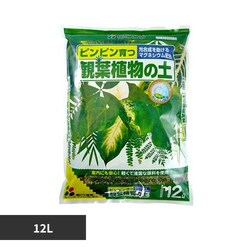 �Ԃ����� �ϗt�A���̓y 12L