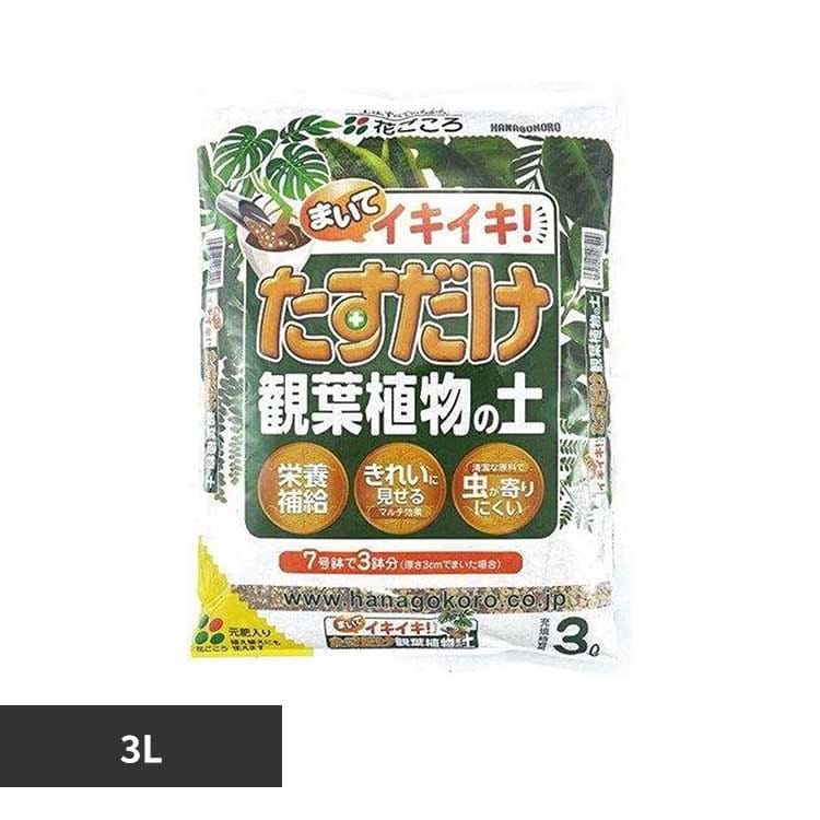 �Ԃ����� ���������ϗt�A���̓y 3L