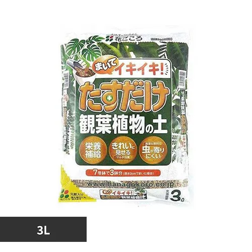 �Ԃ����� ���������ϗt�A���̓y 3L_0