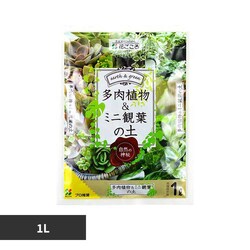 �Ԃ����� �����A�����~�j�ϗt�̓y 1L