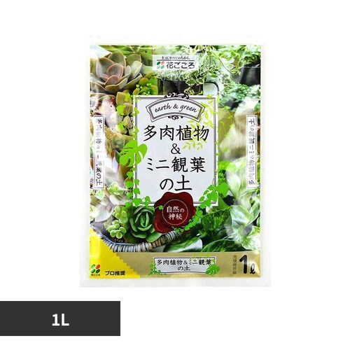 �Ԃ����� �����A�����~�j�ϗt�̓y 1L_0