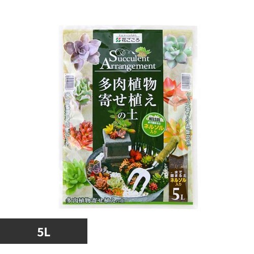 �Ԃ����� �����A���񂹐A�̓y�i�l���\�����j 5L_0