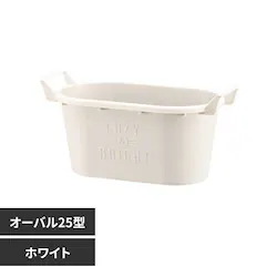 ��a�v���X�`�b�N �O���E�R���e�i�I�[�o�� �I�[�o��25�^ �z���C�g