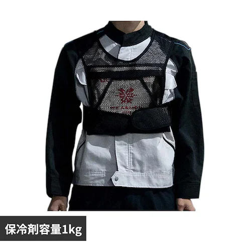 ICE ARMOR 1Kg�Z�b�g_0