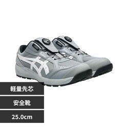 �E�B���W���u ���S�C �O���x���~�z���C�g 25.0cm