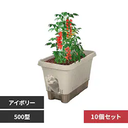 �x�X�g�R �L���X�^�[�t�������v�����^�[500�^10�Z�b�g �A�C�{���[