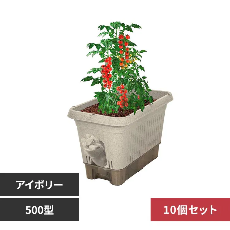 �ǉ����i�T���l�C��