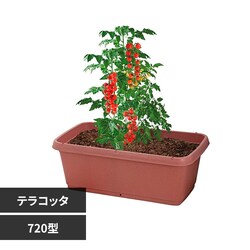 �x�X�g�R �x�W�^�u�����t�����[ �K�[�f���v�����^�[720�^ MA-4184 �e���R�b�^