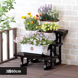 �x�X�g�R �{�^�j�J���X�^�C�� �t�����[�X�^���h 3�i60cm �u���E�� MA-2203