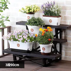 �x�X�g�R �{�^�j�J���X�^�C�� �t�����[�X�^���h 3�i90cm �u���E�� MA-2204