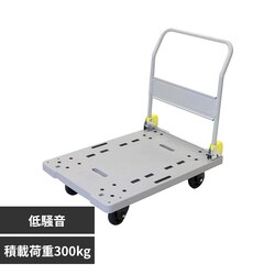 ���� ���ۈ� �����L�����[ NP-300DXL