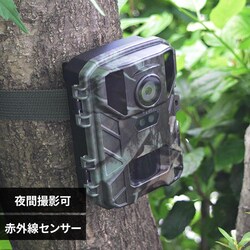 �ԊO�����l�B�e4K�J���� STR-MiNi800 TT800CM �y���Ԏw��s�z�y����s�z�y�����s�z