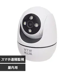WTW IP �����p �p���`���g�z�[���J���� WAP-T1