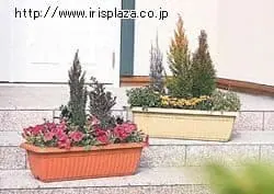 �ǉ����i�T���l�C��