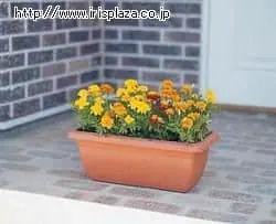 �����[�t�v�����^�[ 550 �e���R�b�^�u���E��