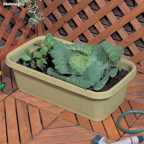 プランター 菜園の通販 園芸ペット専門店 アイリスプラザ アイリスオーヤマ公式通販サイト