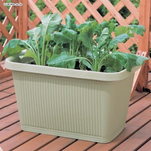 プランター 菜園の通販 園芸ペット専門店 アイリスプラザ アイリスオーヤマ公式通販サイト