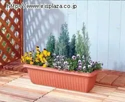 �ǉ����i�T���l�C��