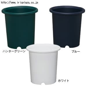 �f�B�[�|�b�g�@10���@�z���C�g