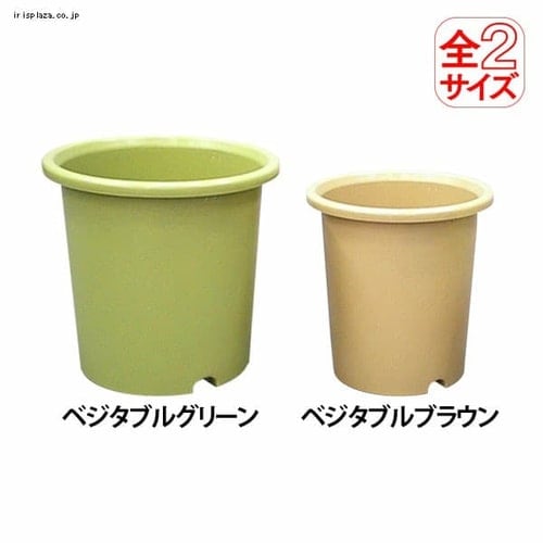 木原先生の「おいしい寄せ植え講座」